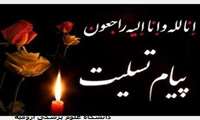 پیام تسلیت و تشکر رئیس دانشگاه به خانواده مرحومه مریم علیزاده